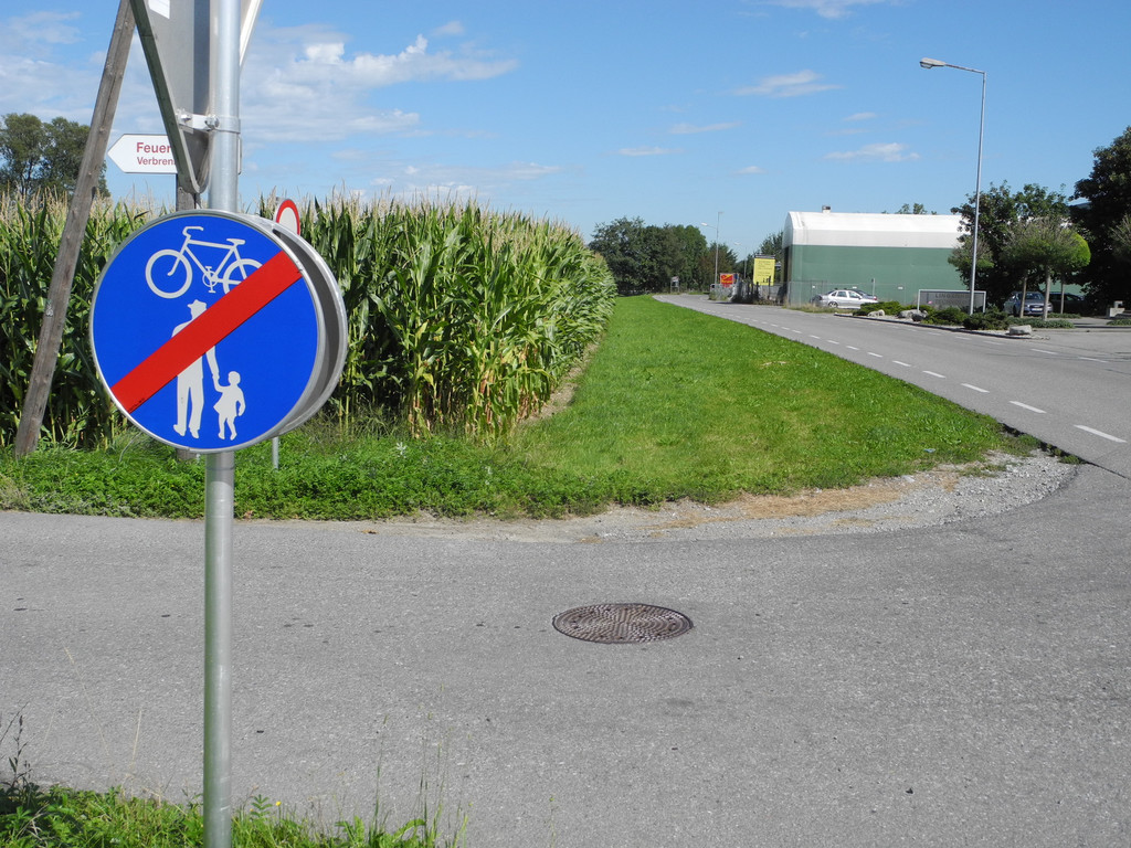 DSCN8786_JPG-1346398221