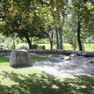 IMG_5194.jpg