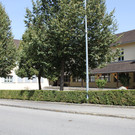 IMG_5210.jpg