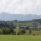 IMG_5224.jpg