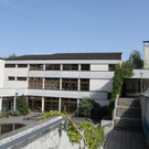 IMG_5250.jpg
