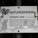 IMG_5269.jpg