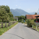 IMG_5233.jpg