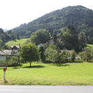 IMG_5238.jpg