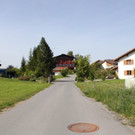 IMG_5239.jpg