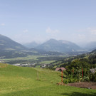 IMG_5242.jpg