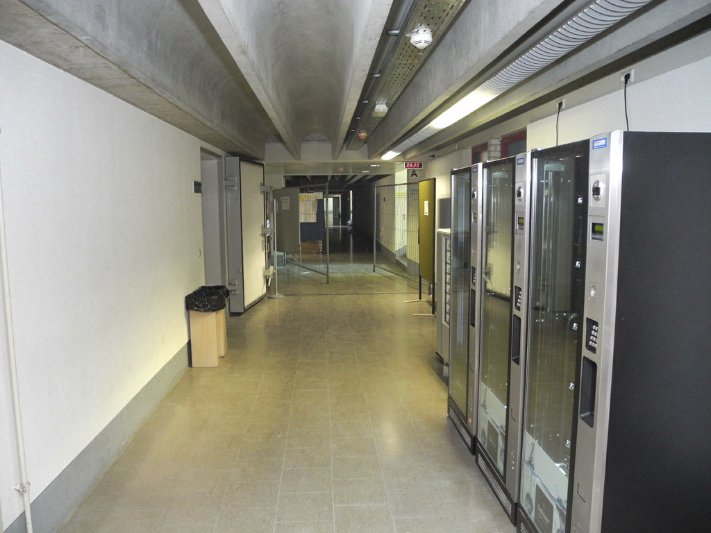 DSCN8190_JPG-1346418351