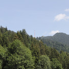 IMG_5156.jpg