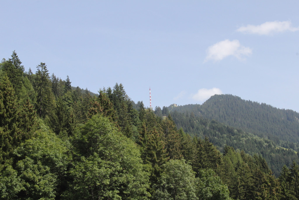 IMG_5156.jpg
