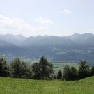IMG_5157.jpg