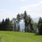 IMG_5162.jpg
