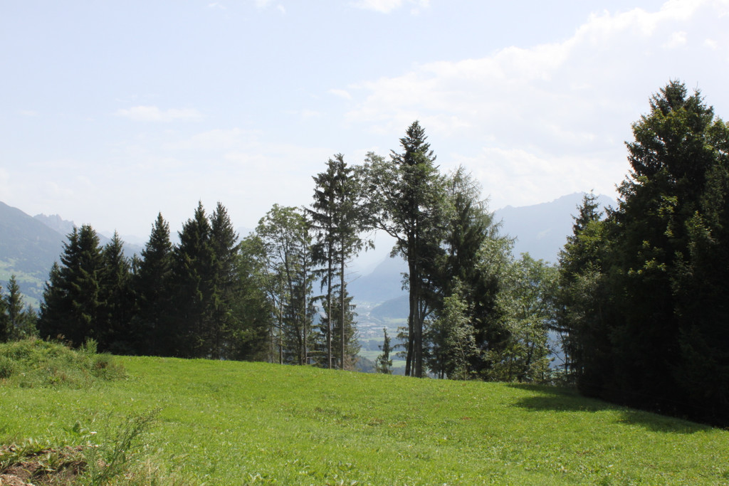 IMG_5162.jpg