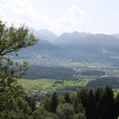 IMG_5164.jpg