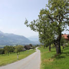 IMG_5176.jpg