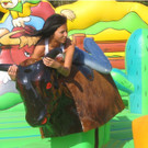 bullen-reiten.jpg