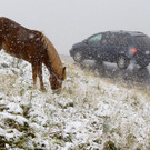 Wettersturz in Vorarlberg: Schnee auf Silvretta