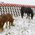 Wetterfeature Schnee22.jpg