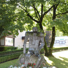 IMG_3499.JPG