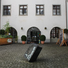 IMG_3568.JPG