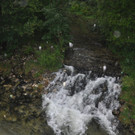 31082012wetterat02007aktivnews023.jpg