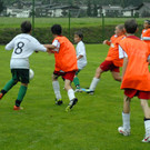 038_bearbeitet-1.jpg