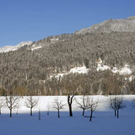 _DSC01060004_1.JPG