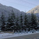 _DSC01100005_1.JPG