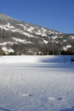 _DSC01330008.JPG