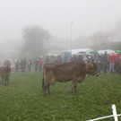 IMG_6292.jpg
