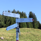 IMG_5646_jpg-1346513441
