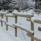 _DSC03900035_1.JPG