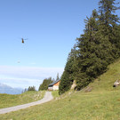 IMG_5816_jpg-1346513824