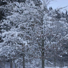 _DSC04040037_1.JPG
