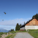 IMG_5857_jpg-1346514096
