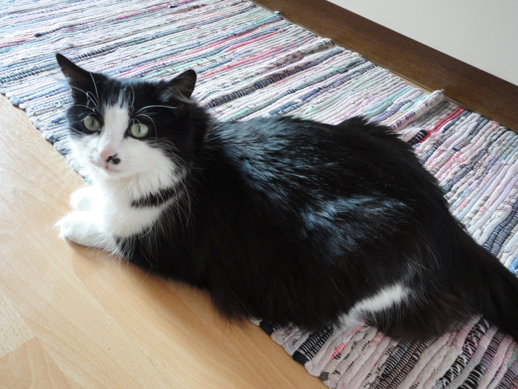 DSC00045_JPG-1346520204