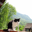 DSC00051_JPG-1346520265