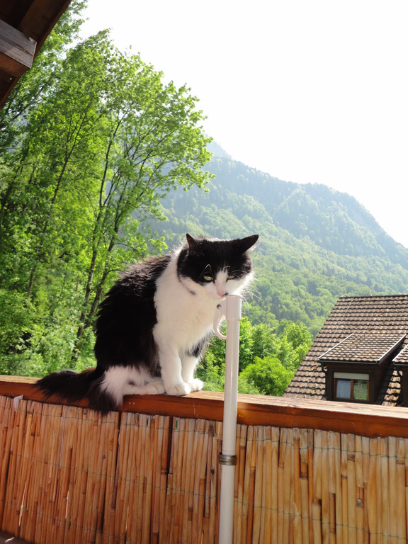 DSC00051_JPG-1346520265