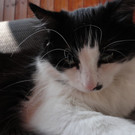 DSC00079_JPG-1346520384