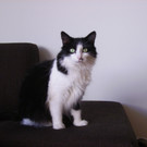 PICT0679_JPG-1346520404