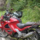 normal_01092012kradde01003aktivnews _9_.jpg