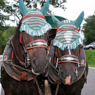 normal_01092012_fmt_LandjugendGroedig_ex_086.JPG