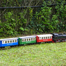 105_0220_jpg-1346572008