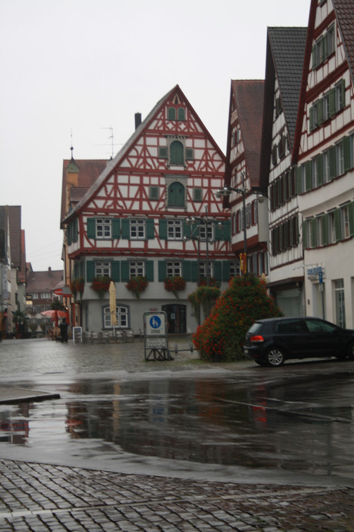 IMG_2498.JPG