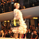 mode1_jpg-1346578744