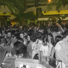 12004153.jpg