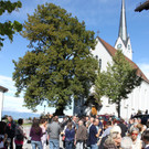 IMG_6332.jpg