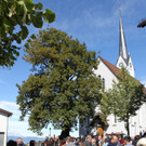 IMG_6333.jpg