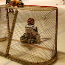 DSC06022_JPG-1346602821