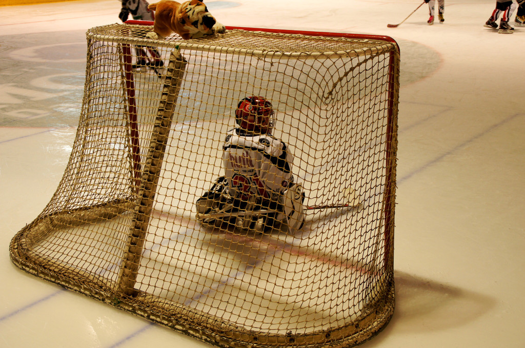 DSC06022_JPG-1346602821