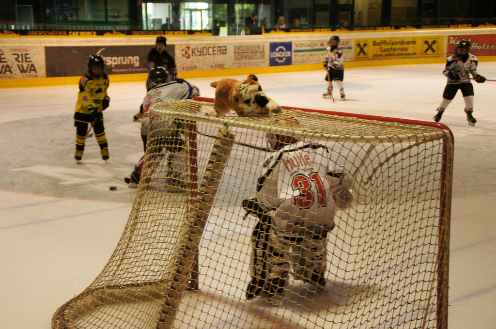 DSC06026_JPG-1346602933